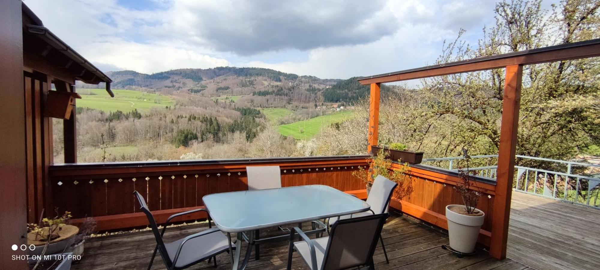 Ferienwohnung Am Fuchsbuehl Schopfheim Eksteriør billede